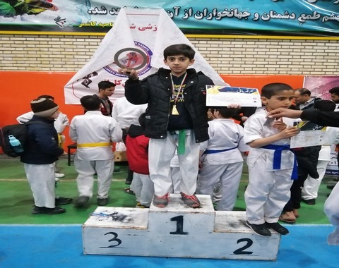 کسب مقام اول کاراته در سطح شهرستان و قطب شهید مدرس